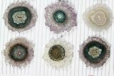 Lot: ~ Amethyst Stalactite Slices ( Pieces) #101737-1